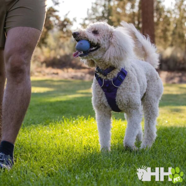 JUGUETE PARA LANZAR RUFFWEAR PARA PERROS TURNUP - Imagen 5