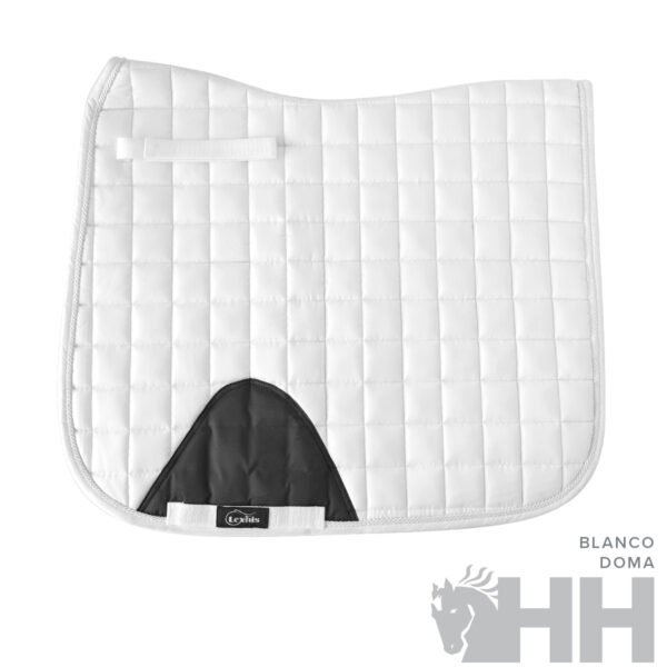 MANTILLA LEXHIS BETIA