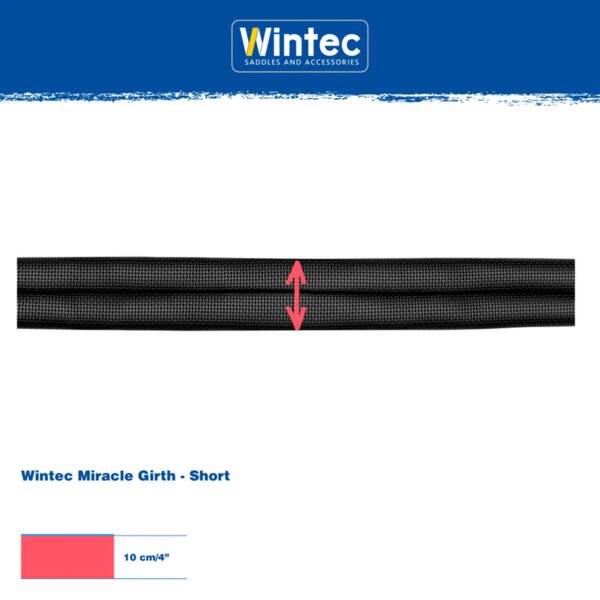 CINCHA WINTEC MIRACLE CORTA - Imagen 3