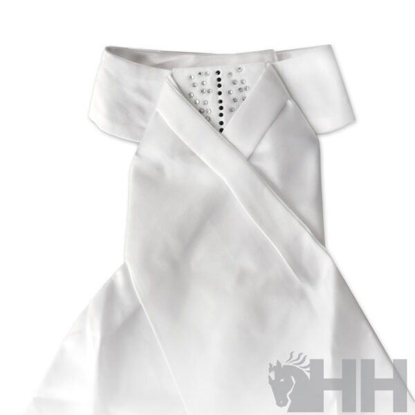 PLASTRON LEXHIS NAILA - Imagen 3