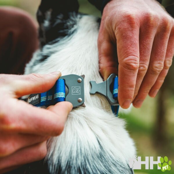 COLLAR RUFFWEAR PARA PERROS TOP ROPE (NEW) - Imagen 5