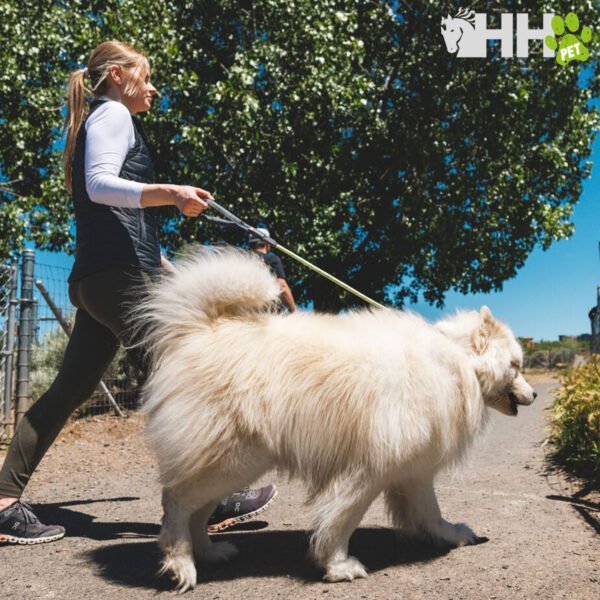 CORREA DE CUERDA RUFFWEAR PARA PERROS KNOT-A-LONG (NEW) - Imagen 7