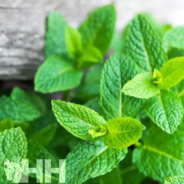 RELAJANTE LEOVET RELAX AROMASPRAY - Imagen 3