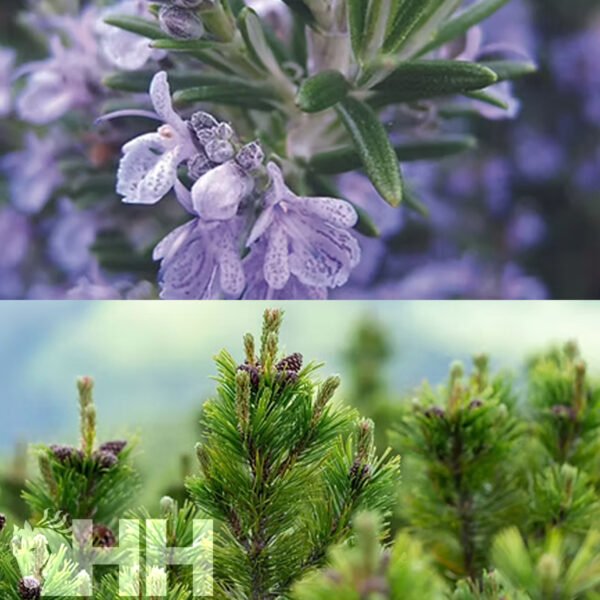 RELAJANTE LEOVET RELAX AROMASPRAY - Imagen 4