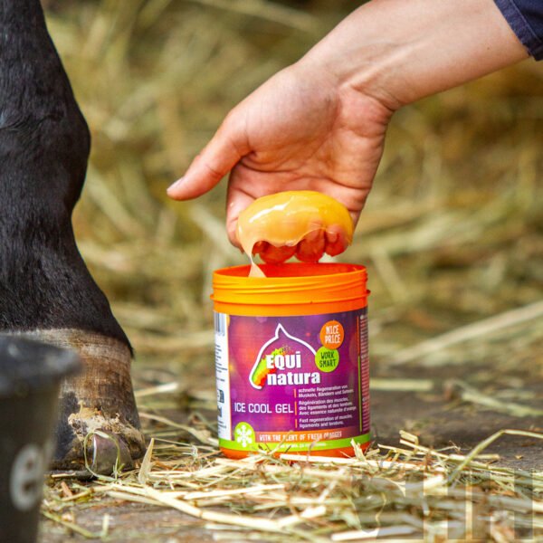 GEL TENDONES DEFATIGANTE EQUINATURA ICE COOL - Imagen 2