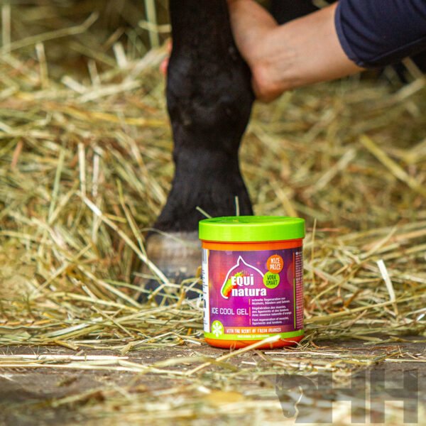 GEL TENDONES DEFATIGANTE EQUINATURA ICE COOL - Imagen 3