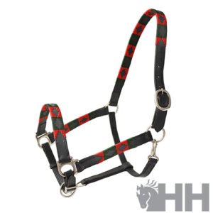 CABEZADA CUADRA LEXHIS CUERO MODELO NAVAJO