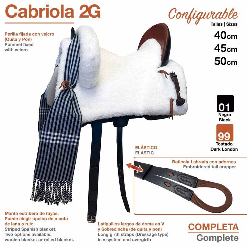SILLA ZALDI C. CABRIOLA 2G (COMPLETA) - Imagen 2