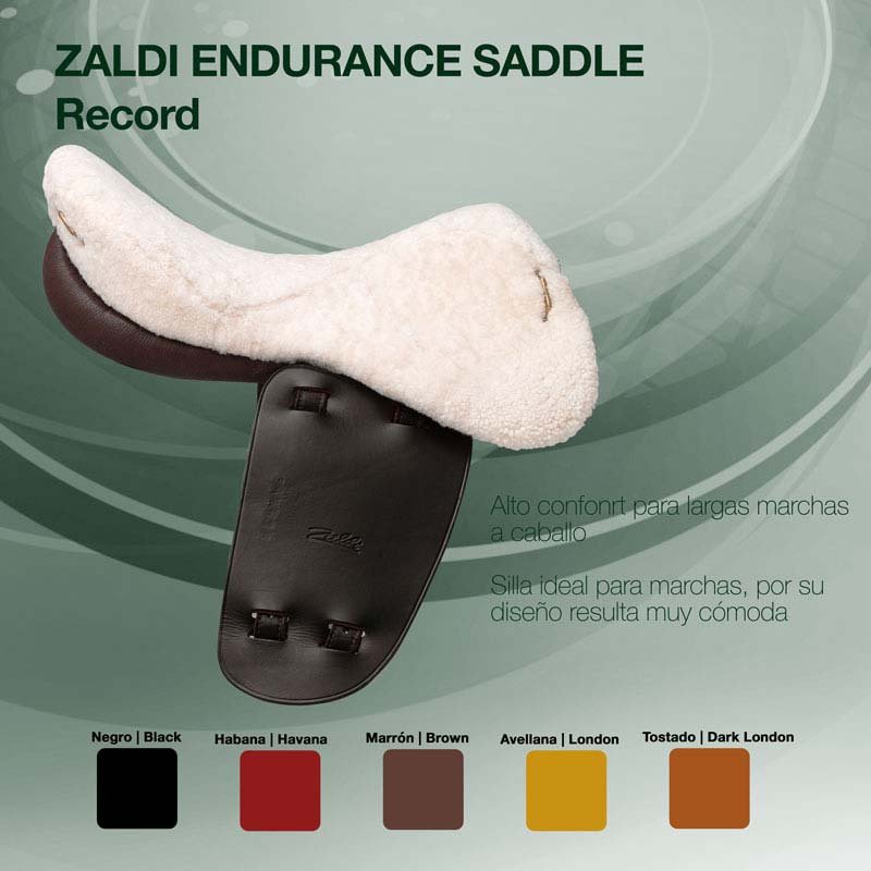 SILLA ZALDI MARCHA RECORD - Imagen 2
