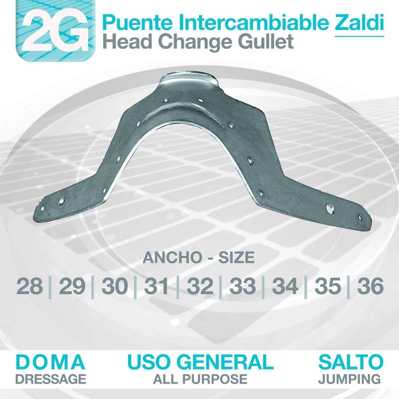 PUENTE INTERCAMBIABLE 2G