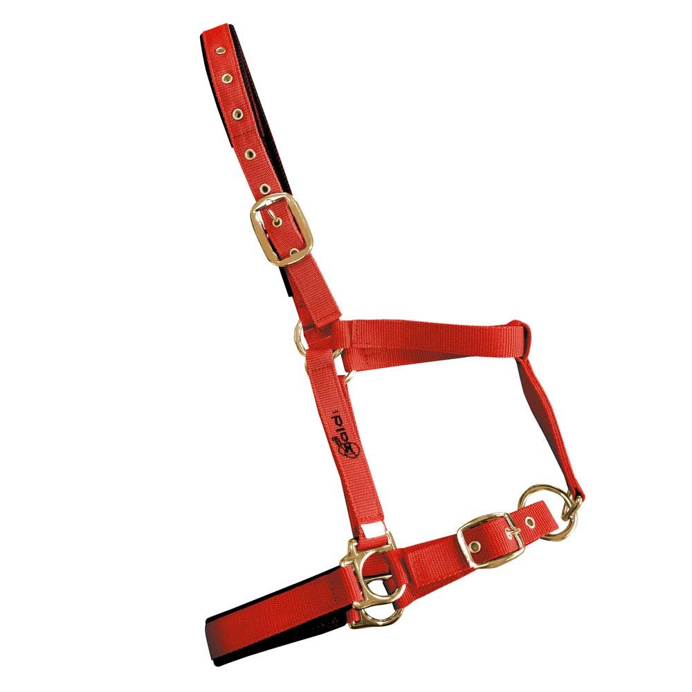 CABEZADA CUADRA NYLON 4022SM - Imagen 42