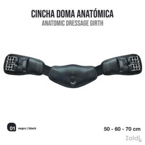 CINCHA DOMA ANATOMICA AZG 552