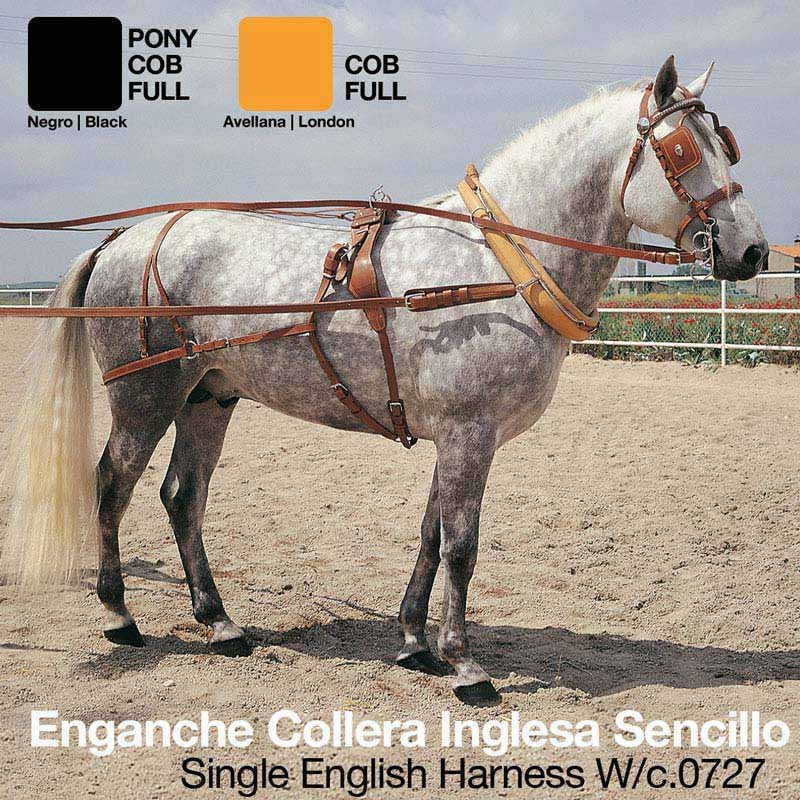 ENGANCHE COLLERA INGLESA SENCILLO - Imagen 2