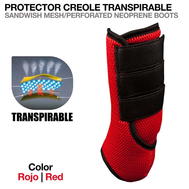PROTECTOR CREOLE TRANSPIRABLE - Imagen 2