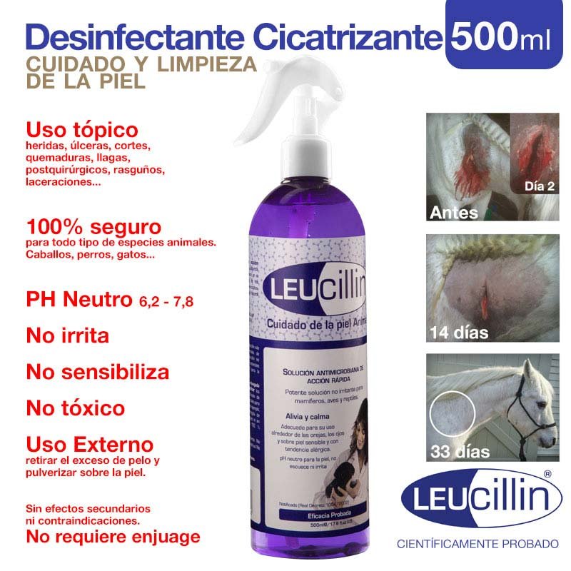 ZALDI DESINFECTANTE CICATRIZANTE LEUCILLIN - Imagen 2