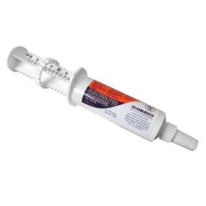 ZALDI PIENSO COMPLEMENTARIO ELECTROLITOS PASTA 60m