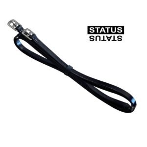 ACIONES STATUS PARA SILLA DE CARRERAS