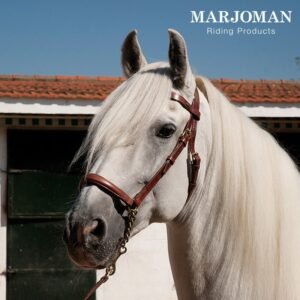 CABEZADA MARJOMAN DE PRESENTACIÓN FRONTALERA Y RAMAL CUERO LISO