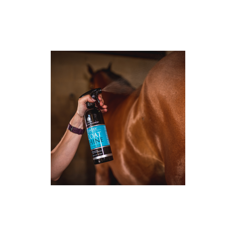 C&D Canter Coat Shine Brillo Pelo Spray 500ml - Imagen 2