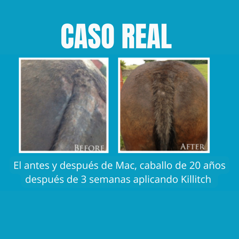 C&D KILLITCH - Imagen 3