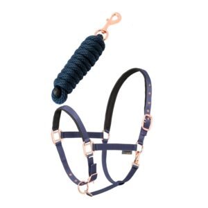 Conjunto cabezada + ramal Daslö Gold