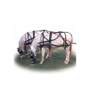 ENGANCHE MODELO MARATHON PARA DOS CABALLOS (hebillaje inox)