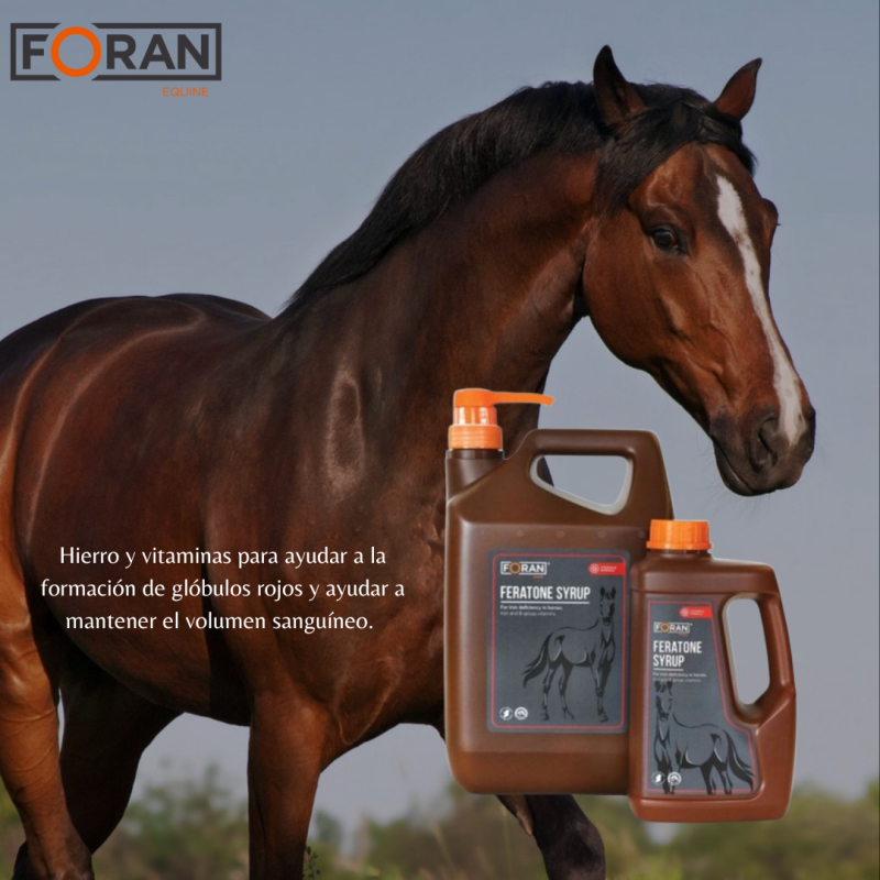 FORAN-SUPLEMENTO HIERRO FERATONE 5L - Imagen 2