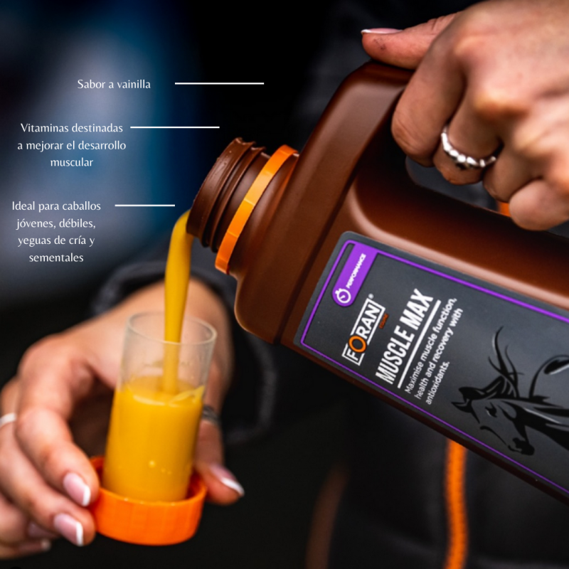 FORAN- DESARROLLO MUSCULAR MUSCLE MAX 5L - Imagen 2