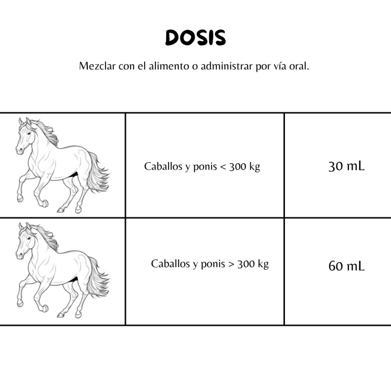 FORAN- DESARROLLO MUSCULAR MUSCLE MAX 1L - Imagen 3
