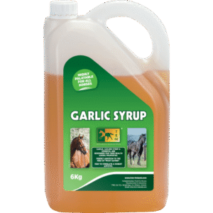 GARLIC SYRUP 6KG