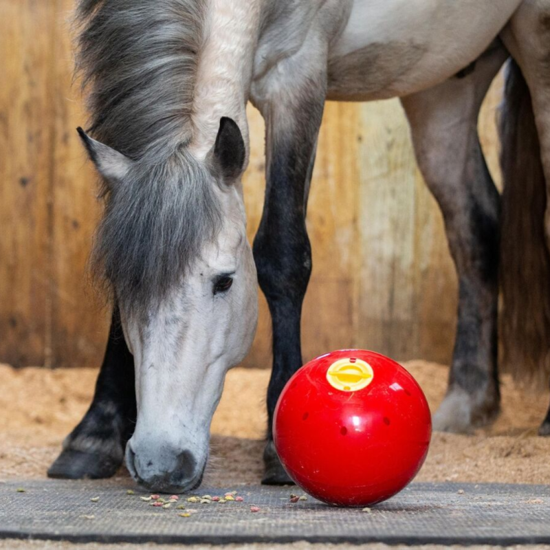 JUGUETE LIKIT SNAK A BALL - Imagen 2