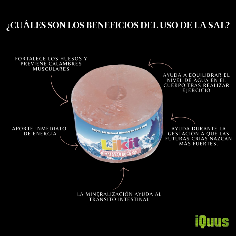 LIKIT SAL HIMALAYA 1KG - Imagen 5