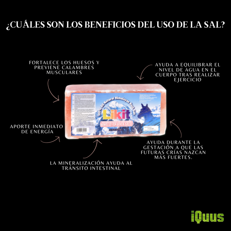 LIKIT SAL HIMALAYA 2KG - Imagen 3
