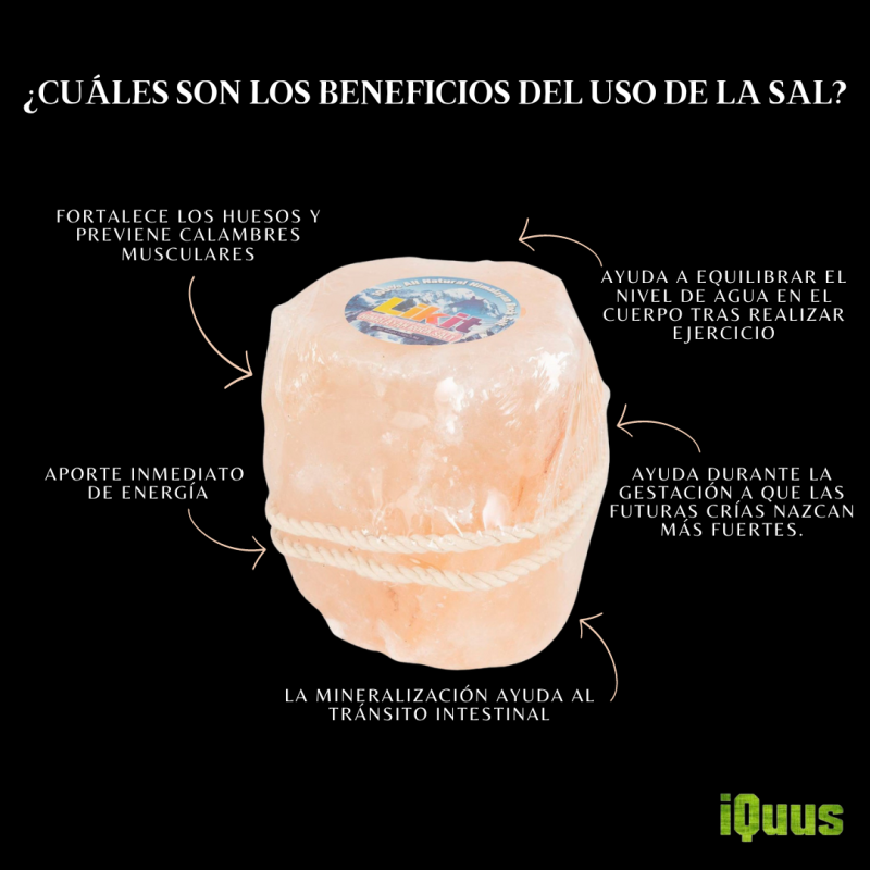 LIKIT SAL HIMALAYA 3.3KG - Imagen 2