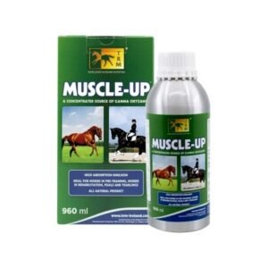 SOPORTE MUSCULAR