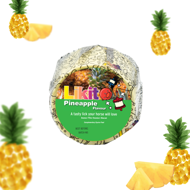 RECAMBIO LIKIT 650GR - Imagen 5