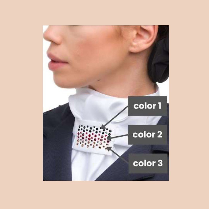 Plastrón hípico CUSTOM CRYSTALLIZED - Imagen 3