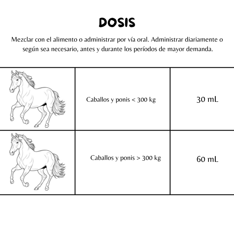 FORAN-VITAMINAS PRE-FUEL LIQUID 1L - Imagen 3