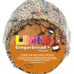 RECAMBIO LIKIT JENGIBRE 650GR