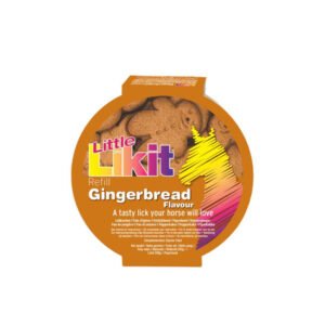 RECAMBIO LIKIT JENGIBRE 250GR