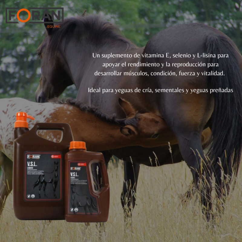 FORAN-SUPLEMENTO MADRES V.S.L LIQUID 1L - Imagen 2