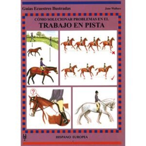 LIBRO: GUÍA. CÓMO SOLUCIONAR PROBLEMAS TRABAJO EN PISTA