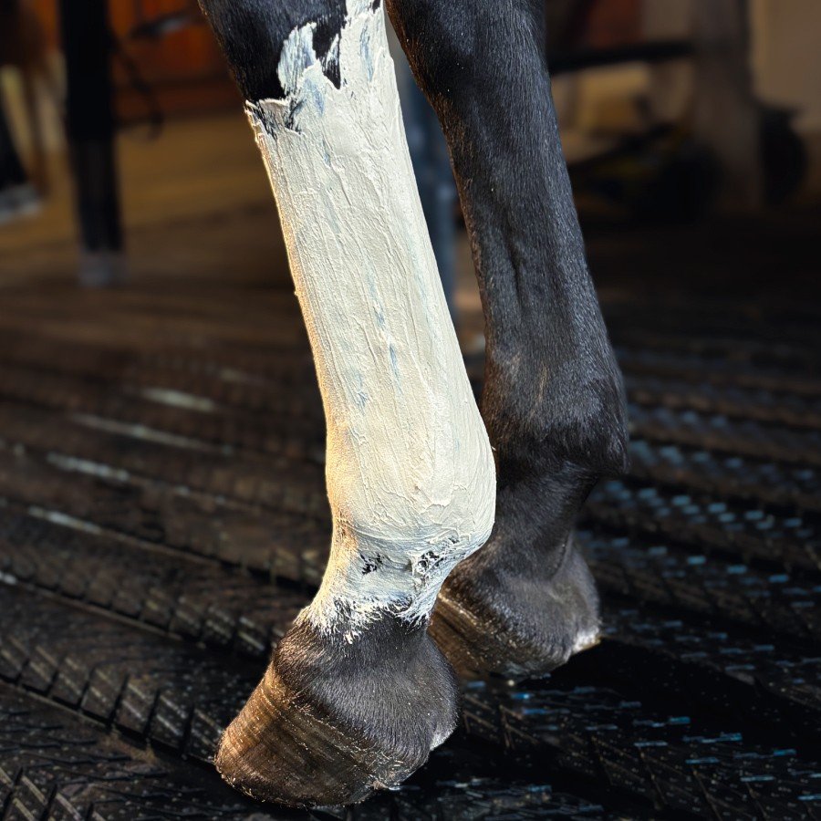 Arcilla Kevin Bacon's Fresh Clay con Eucalipto y Aloe vera - Imagen 2
