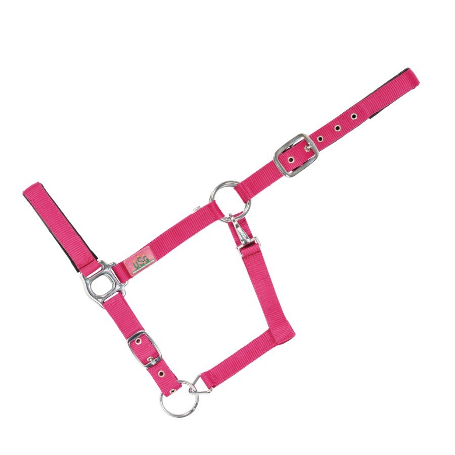 Cabezada de nylon Everyday USG - Imagen 2
