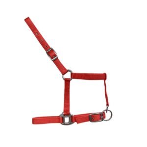 CABEZADA DE NYLON TAMAÑO POTRO CON 2 HEBILLAS