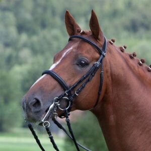 Cabezada Kieffer de doble rienda Anja Beran