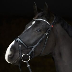 Cabezada para filete Kieffer Amy Shine