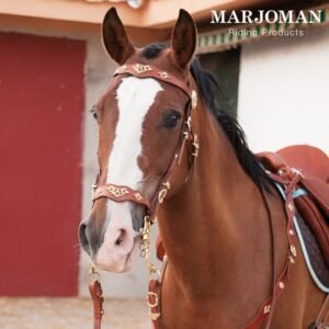 CONJUNTO DE CORTESÍA MARJOMAN DE UNA RIENDA
