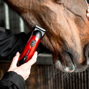 Esquiladora CLASSIC para retoques de Liveryman