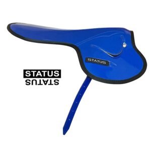 SILLA STATUS DE CARRERAS